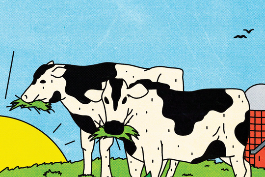 Làm gì cũng vui hơn khi có ai đó bên cạnh