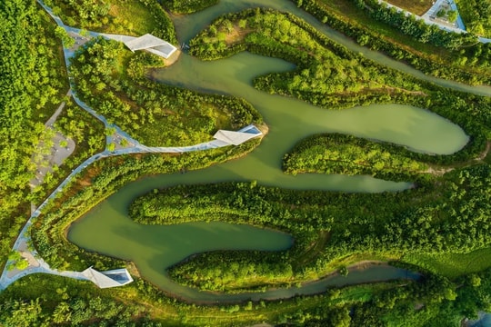 Thành phố bọt biển giúp chống lụt ở đô thị Trung Quốc thế nào?