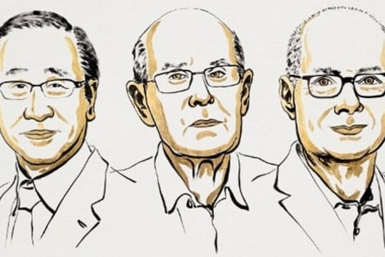 Các nhà khoa học giành Giải Nobel Hóa học nhờ phát triển khung kim loại–hữu cơ