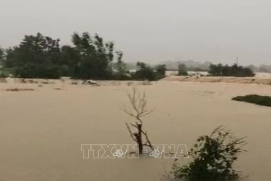 Lũ lớn trên sông Cầu, sông Thương, các địa phương khẩn cấp ứng phó