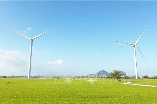 Trục năng lượng xanh vươn ra biển lớn - Bài 2