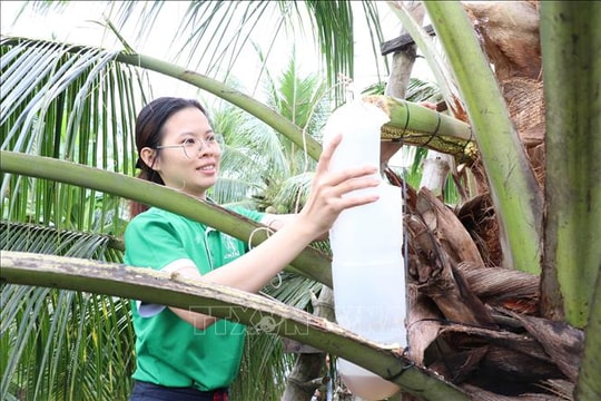 Phụ nữ Đồng bằng sông Cửu Long khởi nghiệp thích ứng biến đổi khí hậu - Bài 2: Cơ hội từ thách thức
