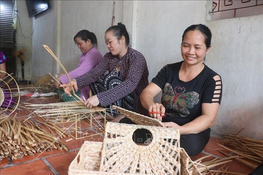 Phụ nữ Đồng bằng sông Cửu Long khởi nghiệp thích ứng biến đổi khí hậu - Bài cuối: Đồng hành cùng phụ nữ