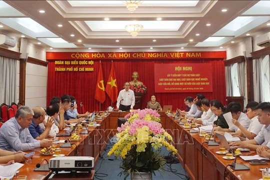 Các dự thảo luật thể hiện rõ tinh thần đột phá về giáo dục và đào tạo