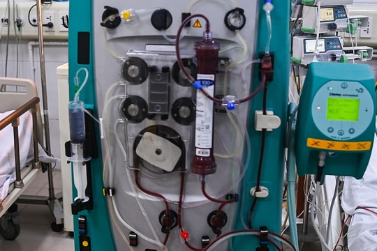 Chọc tổ ong vò vẽ, bé trai bị đốt 35 mũi suýt tử vong