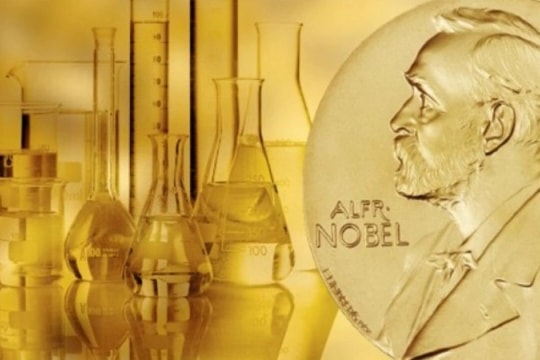 Những ứng viên sáng giá cho giải Nobel Hóa học 2025