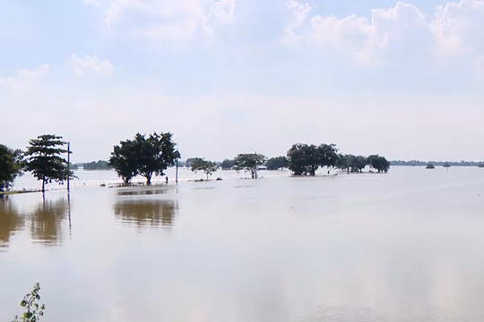 Dự báo lũ trên sông Thương xuống chậm, lũ sông Cầu đạt đỉnh vào trưa và chiều 9/10