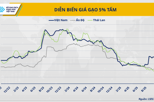 Nguồn cung dư thừa, gạo Việt Nam chịu sức ép cạnh tranh từ Ấn Độ