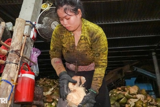 Người phụ nữ lột dừa tươi nhanh như máy, kiếm nửa triệu đồng mỗi ngày