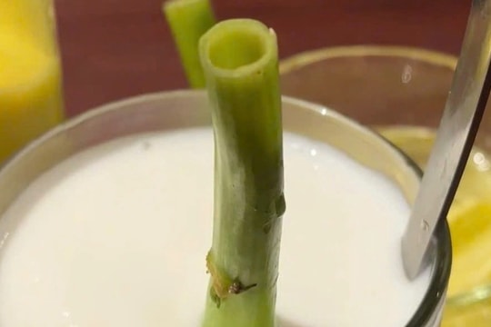 Khách Trung Quốc sửng sốt dùng cọng rau muống thay ống hút ở nhà hàng TPHCM