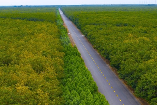 Gần 50 km đường Hồ Chí Minh xuyên rừng trước ngày thông xe