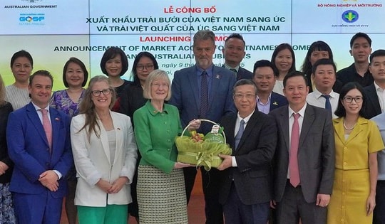 Trái bưởi của Việt Nam chính thức có "visa" vào Úc