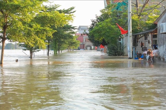 Thiệt hại mưa lũ sau bão số 11 ước tính 5.450 tỷ đồng