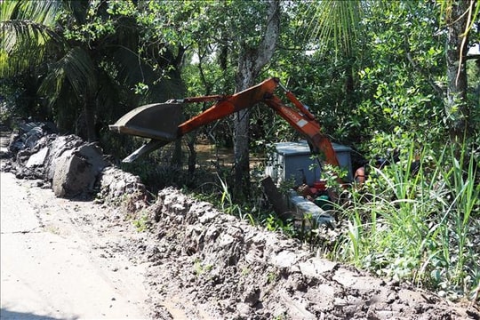 Chủ động ứng phó triều cường, bảo vệ vùng chuyên canh sầu riêng