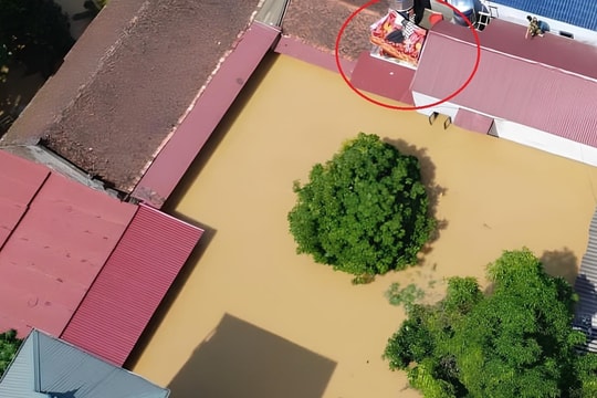 Chạy về với mẹ trong rốn lũ