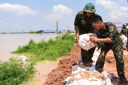 Thường trực Chính phủ yêu cầu nâng cấp hệ thống đê chống lũ