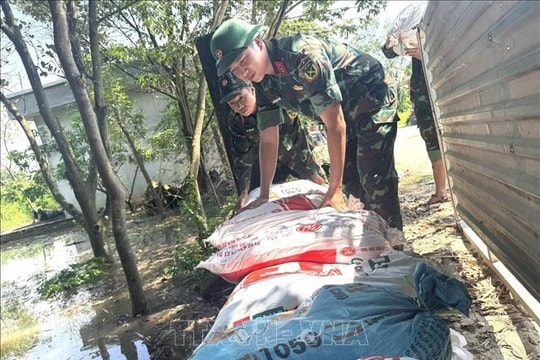 Đảm bảo an toàn đê điều trên sông Cầu, sông Thương, sông Cà Lồ