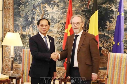 Việt Nam - Bỉ - EU chung tay vì phát triển xanh và bền vững
