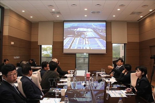 Kết nối tỉnh Tuyên Quang với các doanh nghiệp Hàn Quốc