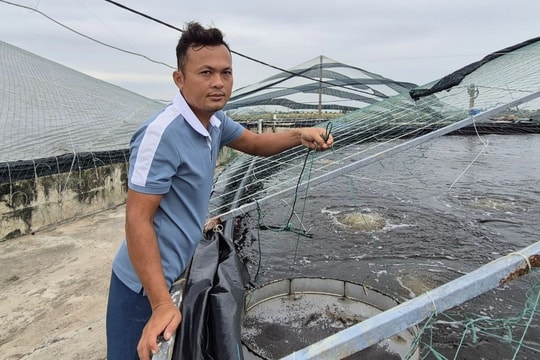 Kỹ sư bỏ công việc ổn định, chọn nghề nhiều rủi ro và cái kết như mơ