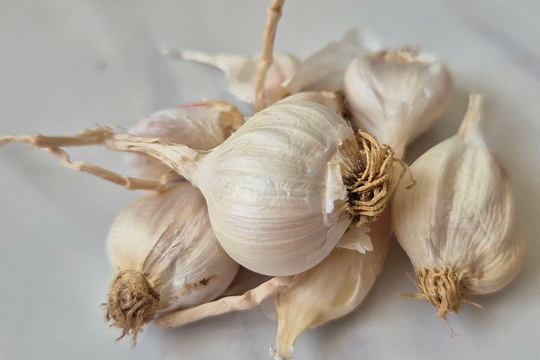 6 loại rau, gia vị quen thuộc giúp trị cúm tại nhà