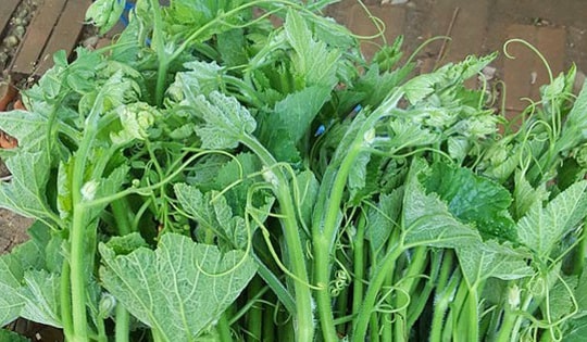"Thần dược bổ máu": Loại rau nhà nghèo, giàu sắt và canxi ít người biết