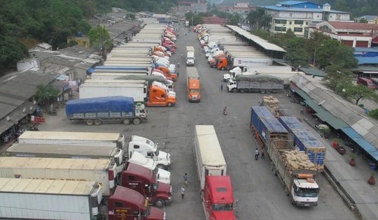 Doanh nghiệp vận tải lo ùn tắc hàng hóa do thiếu lái xe hạng FC