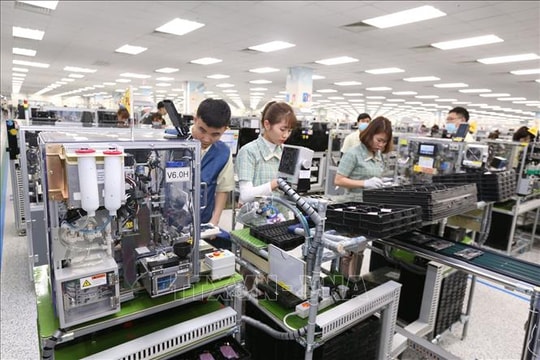 Kinh tế tư nhân trụ cột kiến tạo động lực tăng trưởng mới - Bài 4