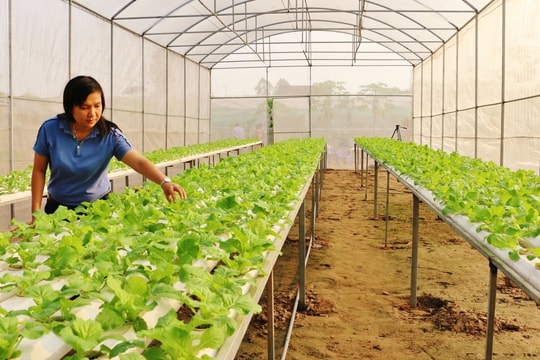 Dấu ấn nhiệm kỳ, khát vọng tầm cao mới - Bài 4