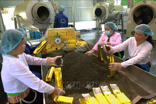 Kinh tế tư nhân Phú Thọ vươn mình mạnh mẽ