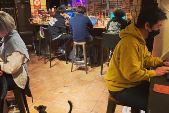 Quán cà phê Nhật Bản chỉ đón 10 khách, bắt "chạy deadline" xong mới được về