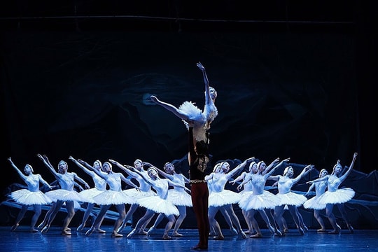 Ra mắt vũ kịch 'Hồ Thiên Nga' tại TP HCM
