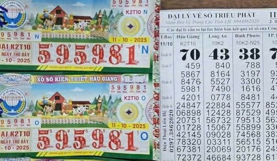 Xổ số miền Nam: 28 tờ vé số trúng độc đắc tại An Giang và Cà Mau