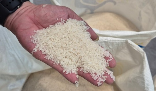 Quốc gia nhập khẩu gạo số 1 thế giới lại có động thái mới