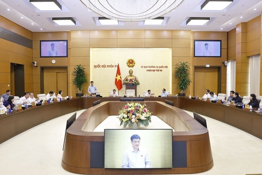 Rà soát quy định trong dự án Luật sửa đổi, bổ sung một số điều Luật Kinh doanh bảo hiểm