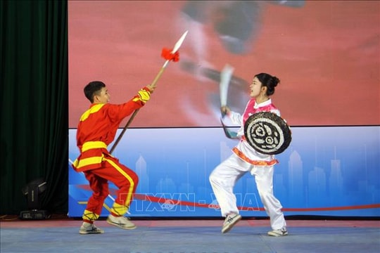 Liên hoan võ cổ truyền Bình Định