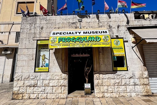 Bên trong bảo tàng ếch chết 'kỳ lạ nhất' châu Âu