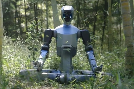 Robot hình người có thể chịu mọi điều kiện thời tiết