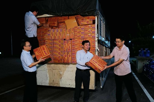 Nhiều tổ chức quốc tế hỗ trợ Việt Nam khắc phục hậu quả thiên tai