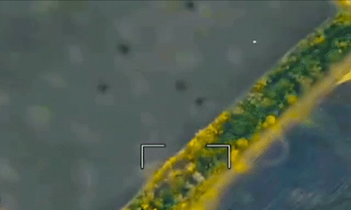 Lộ vị trí, pháo 6 triệu USD của Ukraine bị UAV Lancet tập kích