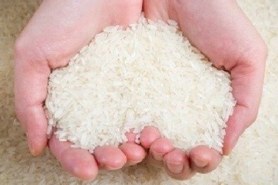 Xuất cấp hàng dự trữ quốc gia hỗ trợ địa phương khắc phục hậu quả mưa lũ