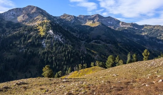 Gia đình 4 người mất tích bí ẩn, 2 trẻ nguy kịch sau khi được tìm thấy