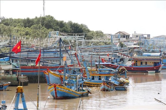 Lâm Đồng đặt mục tiêu hoàn thành đăng kiểm toàn bộ tàu cá trong tháng 10