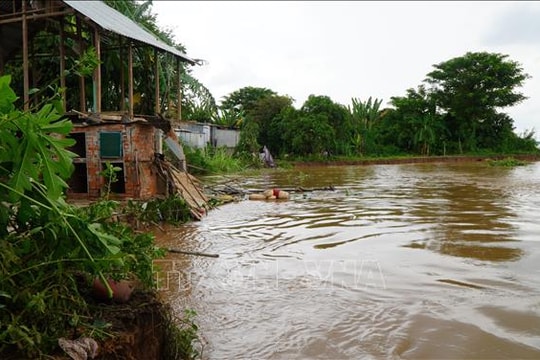Đồng Tháp: Sạt lở bờ sông Tiền làm mất khoảng 600 m² đất