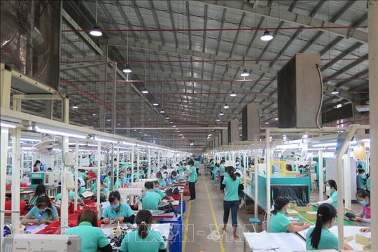 Niềm tin doanh nghiệp châu Âu tại Việt Nam cao nhất trong ba năm qua