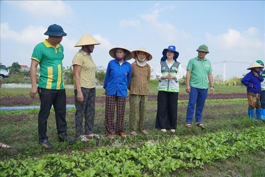 Khẩn trương khôi phục sản xuất nông nghiệp sau bão lũ