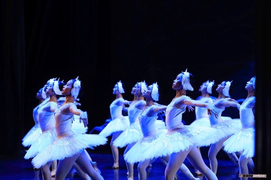 Mãn nhãn với cú xoay kinh điển trong vở ballet 'Hồ thiên nga'