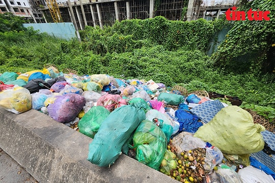Nhiều tuyến đường tại TP Hồ Chí Minh thành ‘bãi rác’ do nạn đổ rác trộm