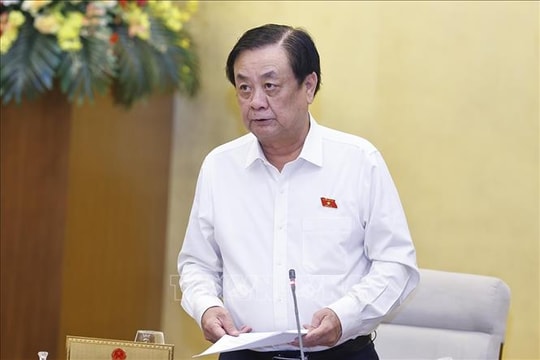 Quy định chi tiết tiêu chí khoanh định khu vực không đấu giá quyền khai thác khoáng sản