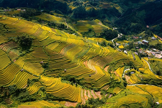 Việt Nam 7 lần thắng giải 'Điểm đến hàng đầu châu Á'